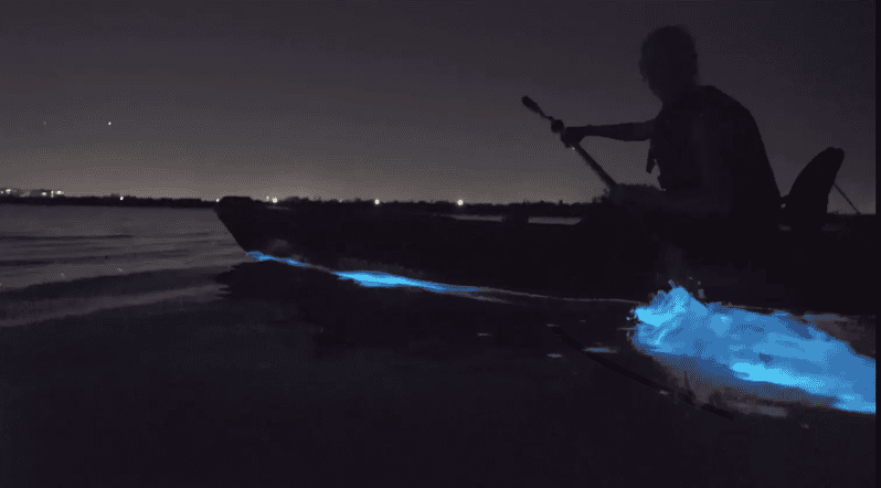 Cocoa Beach/Merritt Island:Bioluminescent kayak tour - Starting at Kiwanis Island Park Road