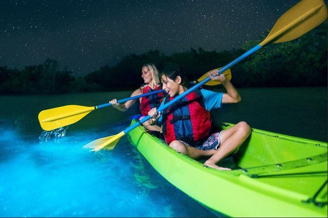 Cocoa Beach Night Time Bioluminescence Kayak Tour - Key points to know before you book