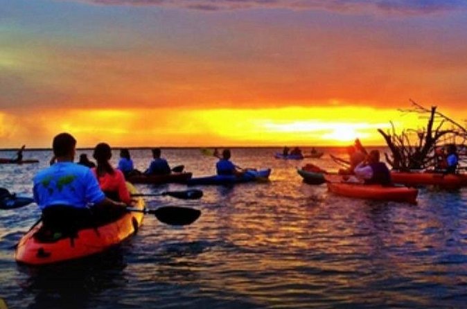 Cocoa Beach Night Time Bioluminescence Kayak Tour - Salt water, shallow conditions, and swimming afterward