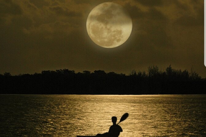 Cocoa Beach Night Time Bioluminescence Kayak Tour - Choosing between a single and tandem kayak