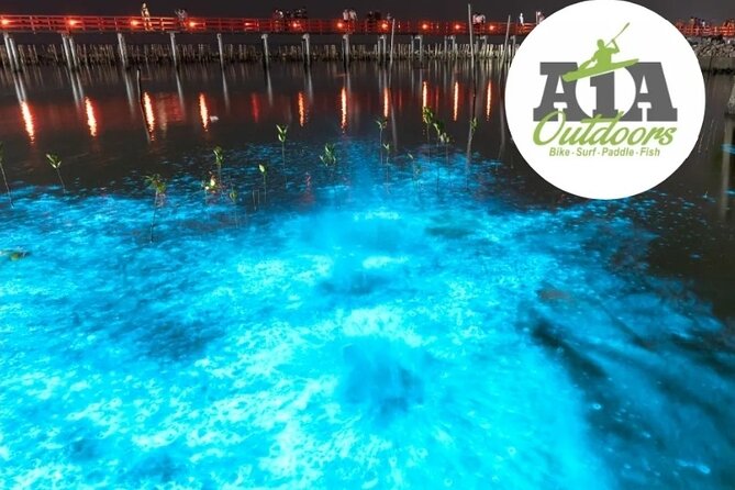 Cocoa Beach Night Time Bioluminescence Kayak Tour - Timing, group size, and practical planning