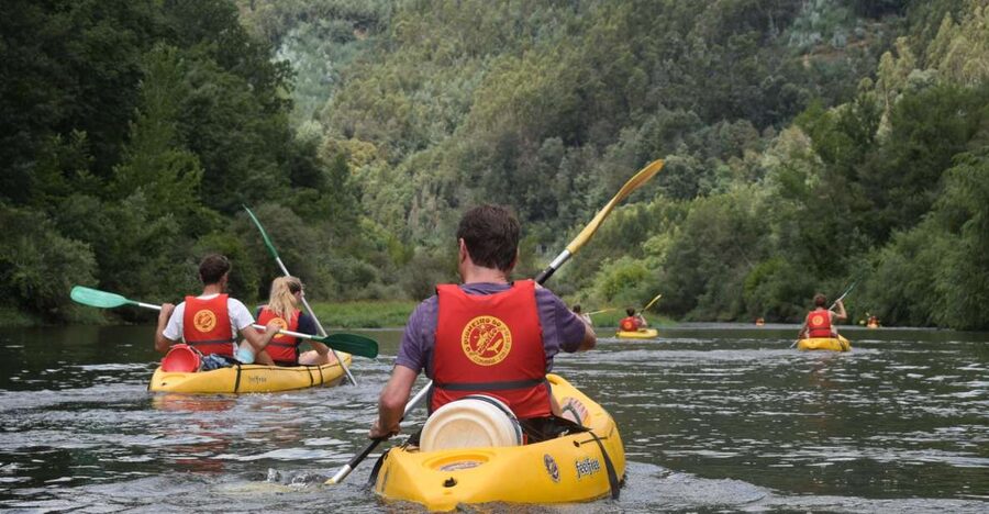 Coimbra: Mondego River Kayaking Tour - From Penacova to the Carvoeira dam