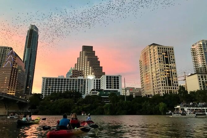 Congress Avenue Bat Bridge Kayak Tour in Austin - Why the bats are best seen from the water