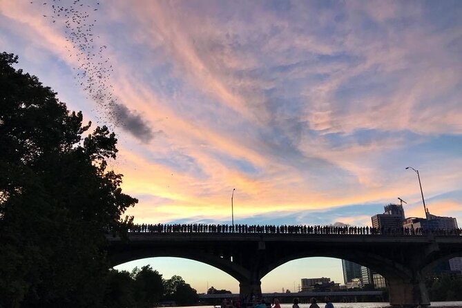 Congress Avenue Bat Bridge Kayak Tour in Austin - The bat viewing beneath the bridge