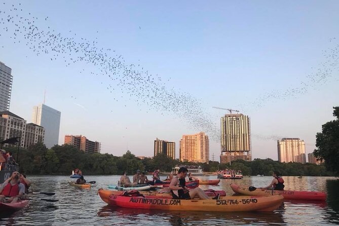 Congress Avenue Bat Bridge Kayak Tour in Austin - Practical booking details and cancellation
