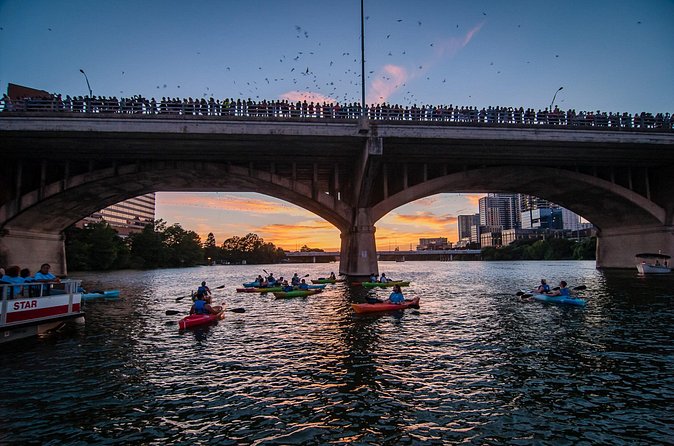 Congress Bridge Kayaking Bat Tour - How the guide affects the experience