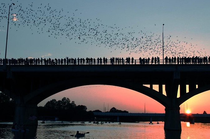 Congress Bridge Kayaking Bat Tour - Timing, weather, and practical planning