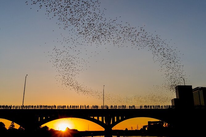 Congress Bridge Kayaking Bat Tour - What the two-hour itinerary is really like