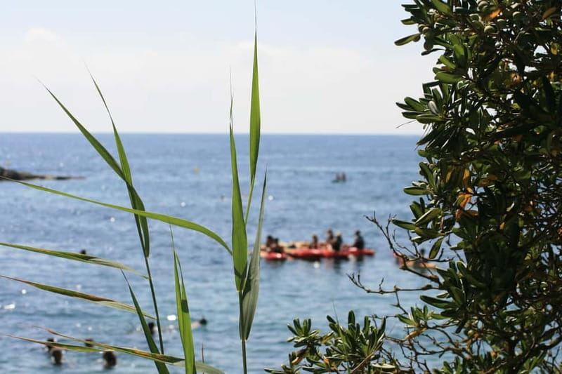Costa Brava: Sant Feliu de Guíxols Kayak & Snorkel Tour - What the $35 price really includes