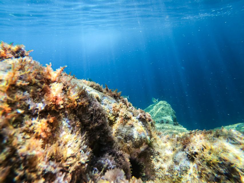 Costa Brava: Sea Caves Kayaking and Snorkeling Tour - Forty-five minutes along cliffs, coves, and caves