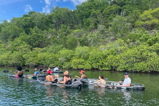 Crystal Kayak & Snorkel Eco Tour (with transfer) - Why the clear kayak is worth your morning