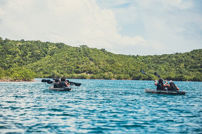 Crystal Kayak & Snorkel Eco Tour (with transfer) - Moving from mangroves to the reef