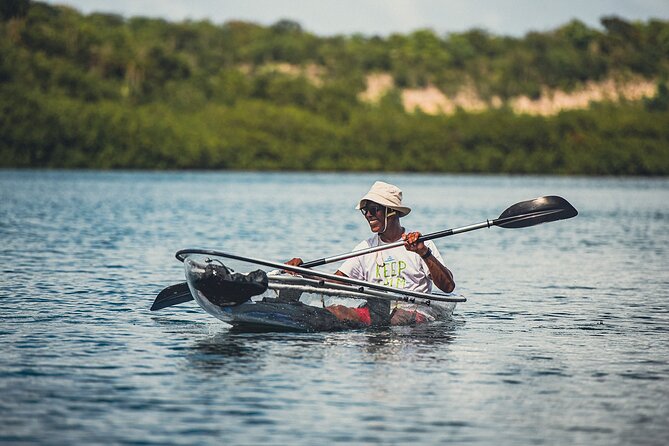 Crystal Kayak & Snorkel Eco Tour (with transfer) - A crew that pays attention to safety