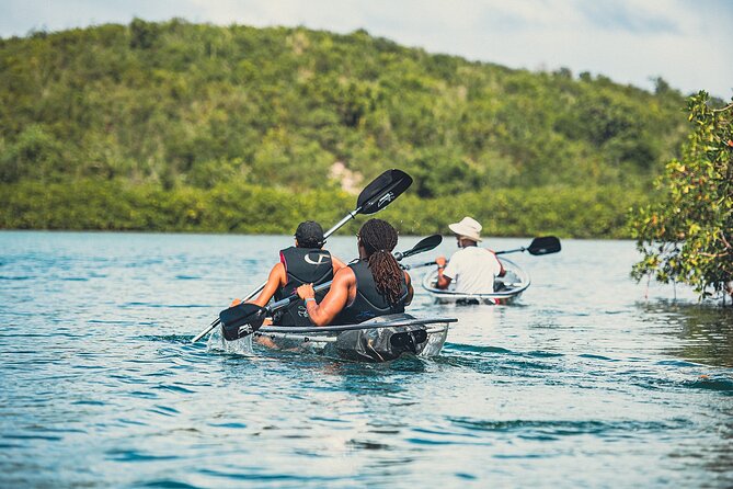 Crystal Kayak & Snorkel Eco Tour (with transfer) - Who will enjoy this most