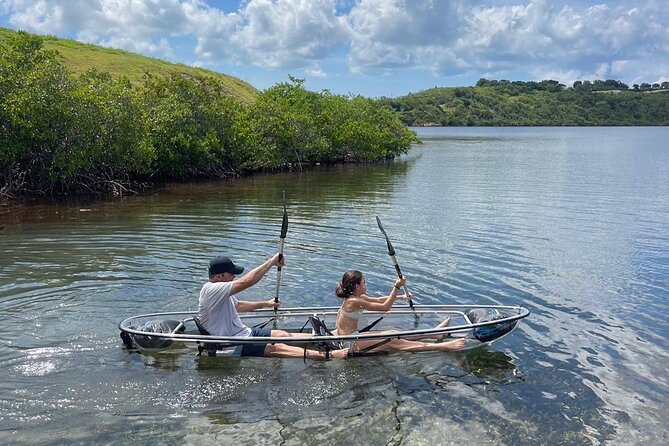 Crystal Kayak & Snorkel Eco Tour (with transfer) - Starting in a calm Antiguan bay