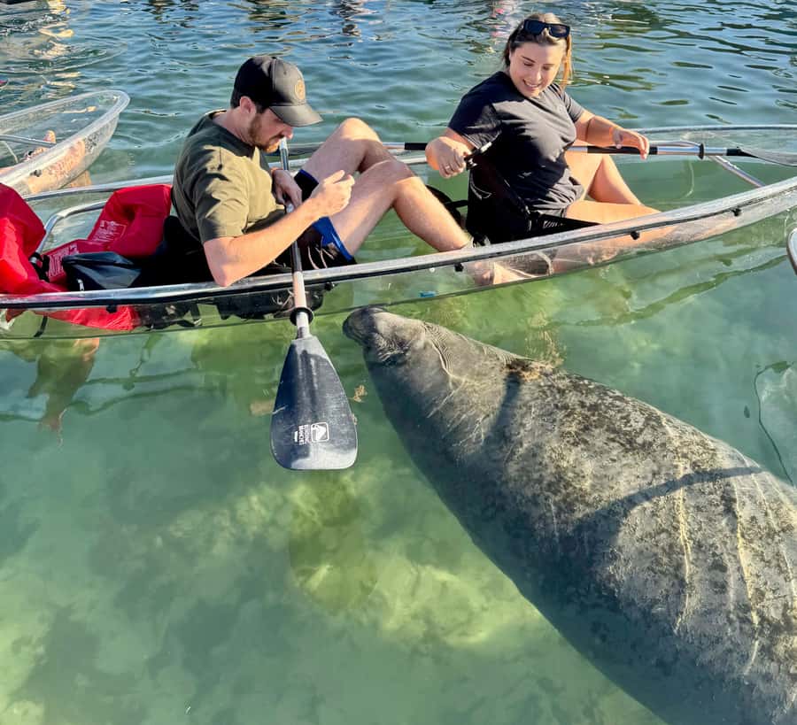 Crystal River: Clear Kayak Manatee Tour w/Free Photo Package - Key points to know before you book
