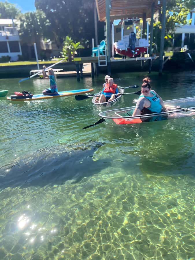 Crystal River: Clear Kayak Manatee Tour w/Free Photo Package - Paddling through Kings Bay