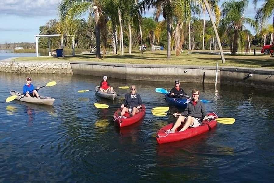 Crystal River: Guided Kayak Tour with Manatee Encounters - Manatee watching from a kayak