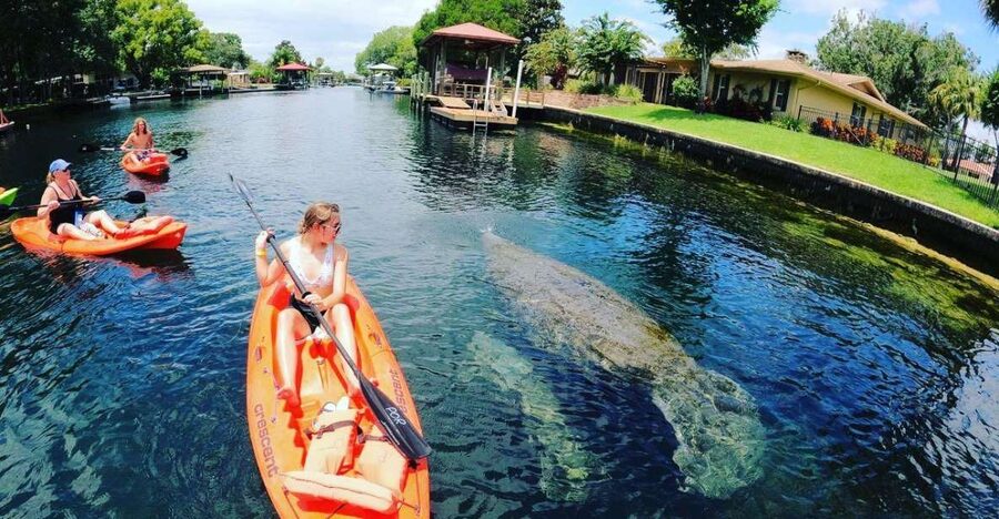 Crystal River: Kayak Rental - Key Points for Planning Your Paddle