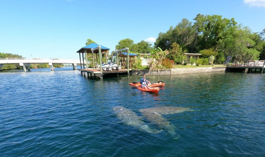 Crystal River: Kayak Rental - Why Crystal River Works So Well by Kayak