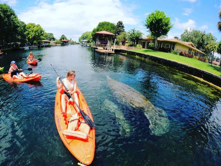 Crystal River: Kayak Rental - Launching Into King’s Bay