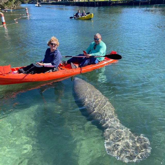 Crystal River: Kayak Rental - Equipment, Fitness, and What to Pack