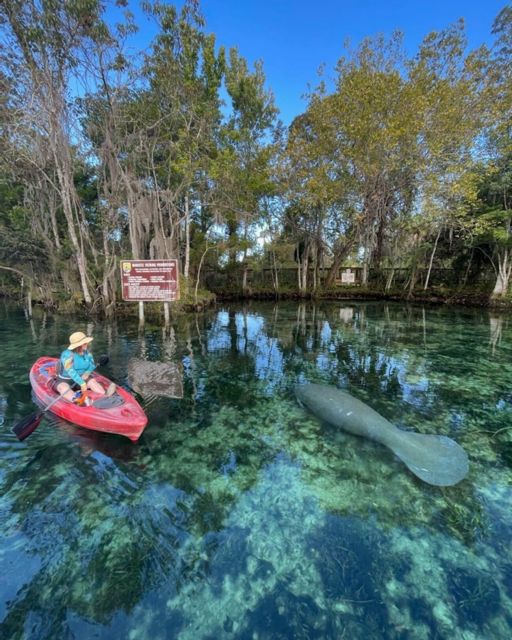 Crystal River: Kayak Rental - Who Will Get the Most From This Rental