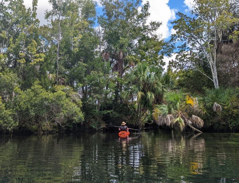 Crystal River: Kayak Rental - Check-In at Pete’s Pier Marina