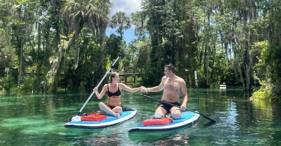 Crystal River: Paddle Board Rental - Crystal River’s spring route is the main event