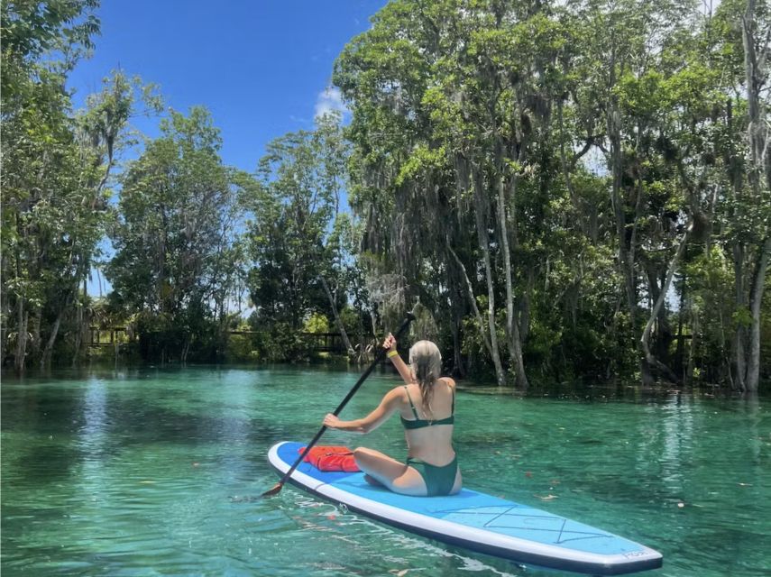 Crystal River: Paddle Board Rental - Paddling through King’s Bay and the Crystal River