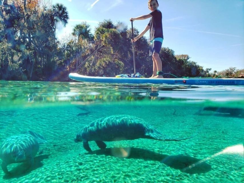 Crystal River: Paddle Board Rental - The check-in process takes more planning than the water time