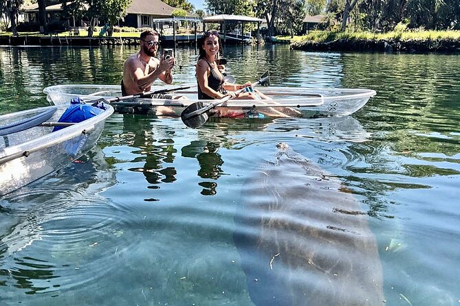 Crystal River Three Sisters Springs and Manatee Clear Kayak Tours - How long is two hours on the water?