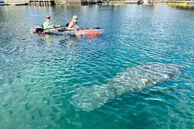 Crystal River Three Sisters Springs and Manatee Clear Kayak Tours - Is the tour good value?