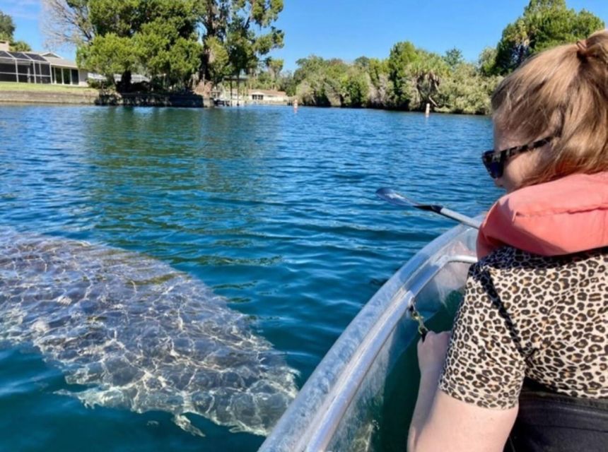 Crystal River: Three Sisters Springs Eco Tour by Clear Kayak - Key points to know before you book