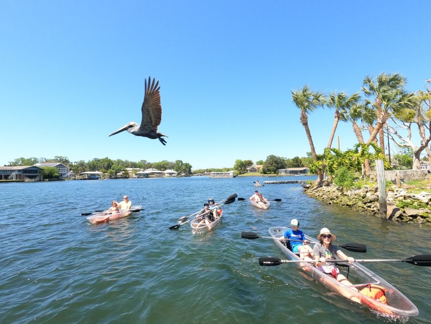 Crystal River: Three Sisters Springs Eco Tour by Clear Kayak - The Three Sisters Springs route, April 1 through November 14