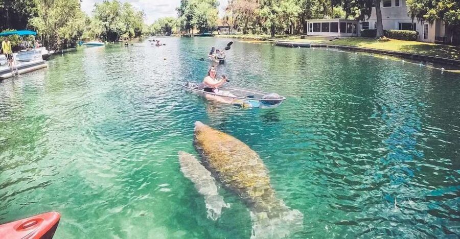 Crystal River: Three Sisters Springs Eco Tour by Clear Kayak - What the two-hour paddle feels like