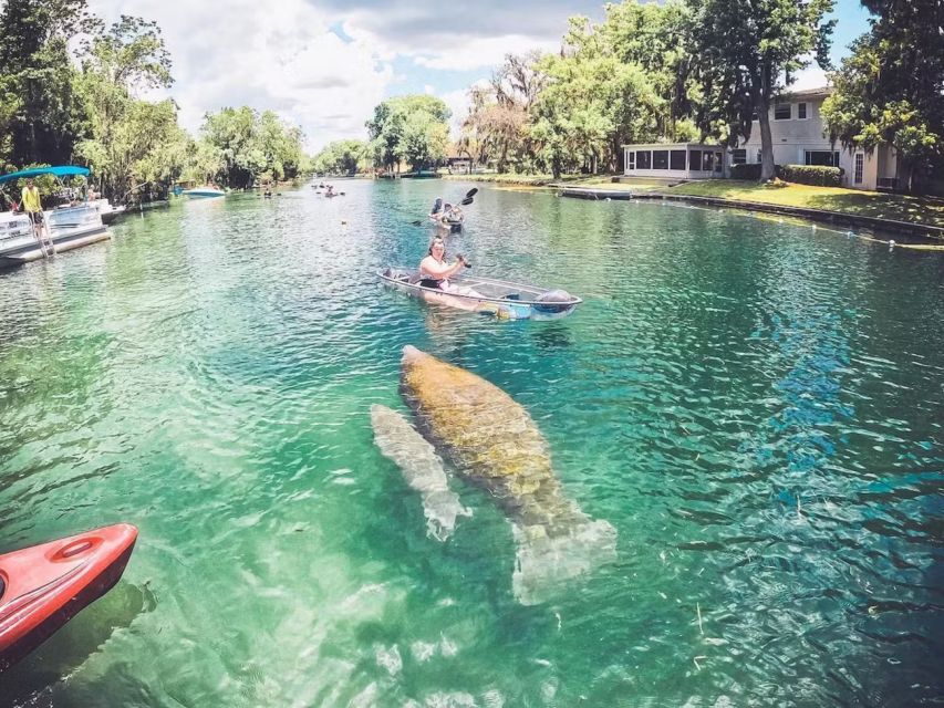 Crystal River: Three Sisters Springs Eco Tour by Clear Kayak - Who should book this Crystal River tour?