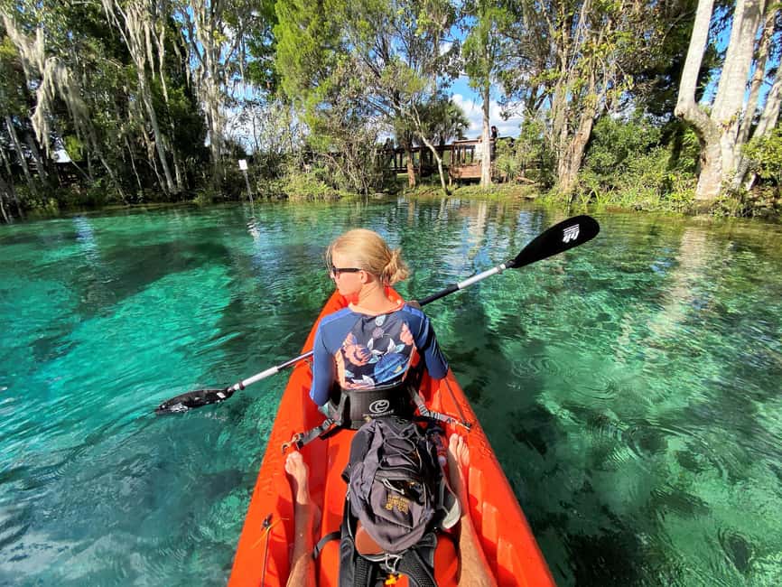 Crystal River:Three Sisters Springs Guided Kayak & Swim Tour - Why Three Sisters Springs is worth the paddle