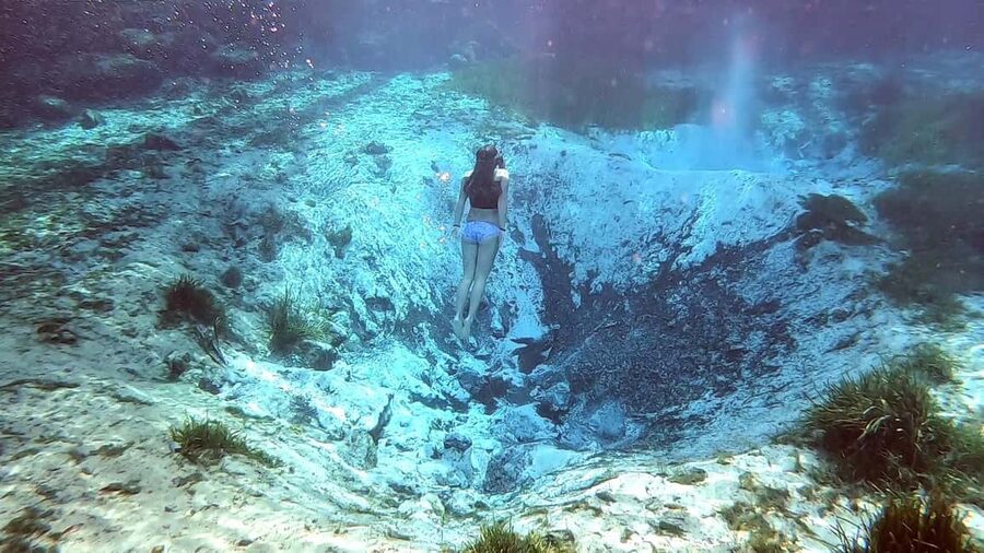 Crystal River:Three Sisters Springs Guided Kayak & Swim Tour - The paddle back and return to the marina
