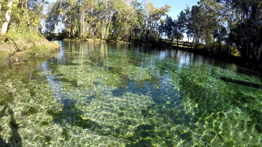 Crystal River:Three Sisters Springs Guided Kayak & Swim Tour - What the $84 price really covers