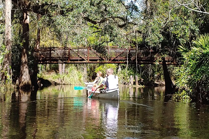 Cypress Forest: Guided Nature Kayak Eco-Tour - Why Shingle Creek feels far from Orlando