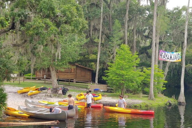 Cypress Forest: Guided Nature Kayak Eco-Tour - What you might see along the creek