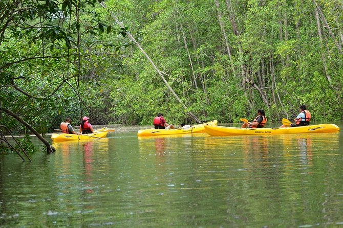 Damas Island Mangrove Kayaking Tour from Manuel Antonio - Key points to know before booking