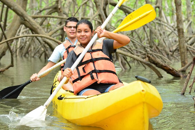 Damas Island Mangrove Kayaking Tour from Manuel Antonio - Why the Isla Damas mangroves are worth your time