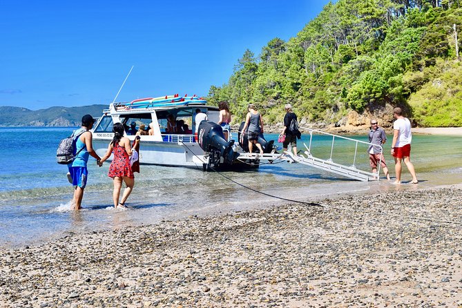 Day Cruise & Island Tour - Snorkel/Wildlife/Paddleboard/Islands - A short cruise with plenty to do