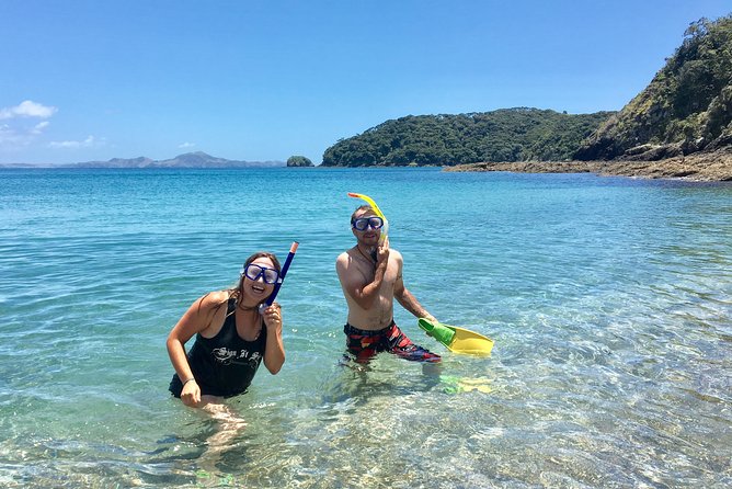 Day Cruise & Island Tour - Snorkel/Wildlife/Paddleboard/Islands - Local stories from the skipper