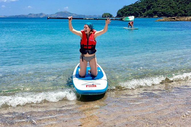 Day Cruise & Island Tour - Snorkel/Wildlife/Paddleboard/Islands - Who should book this island tour?