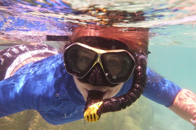 Day Cruise & Island Tour - Snorkel/Wildlife/Paddleboard/Islands - Snorkeling, paddleboarding, and marine life