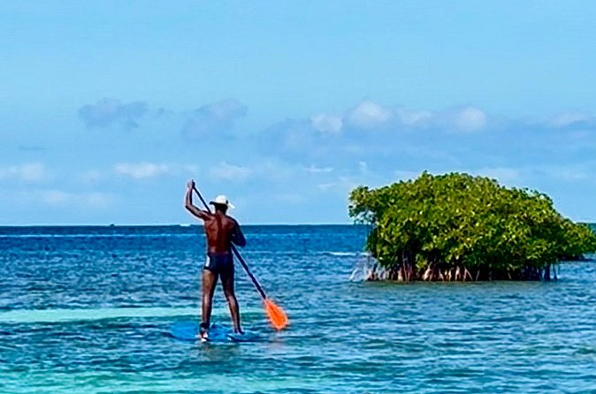 Day Lagoon 100% Sailing stops Snorkelling Paddle - Learning to sail with Captain Xavier