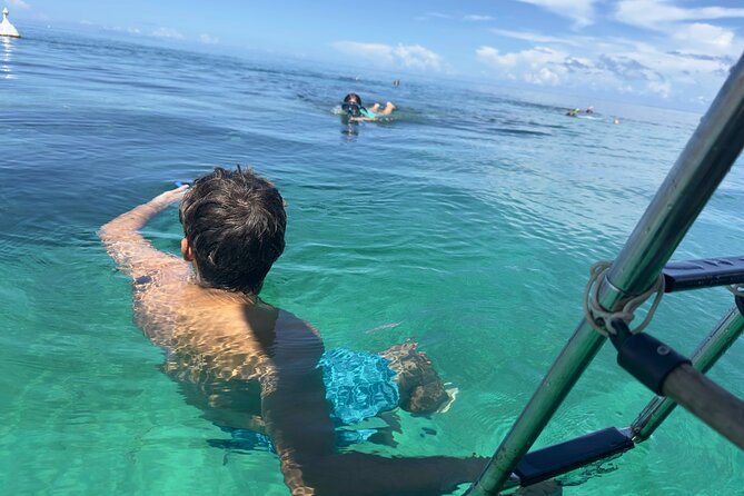 Day Lagoon 100% Sailing stops Snorkelling Paddle - Snorkeling beside a fish-filled wreck